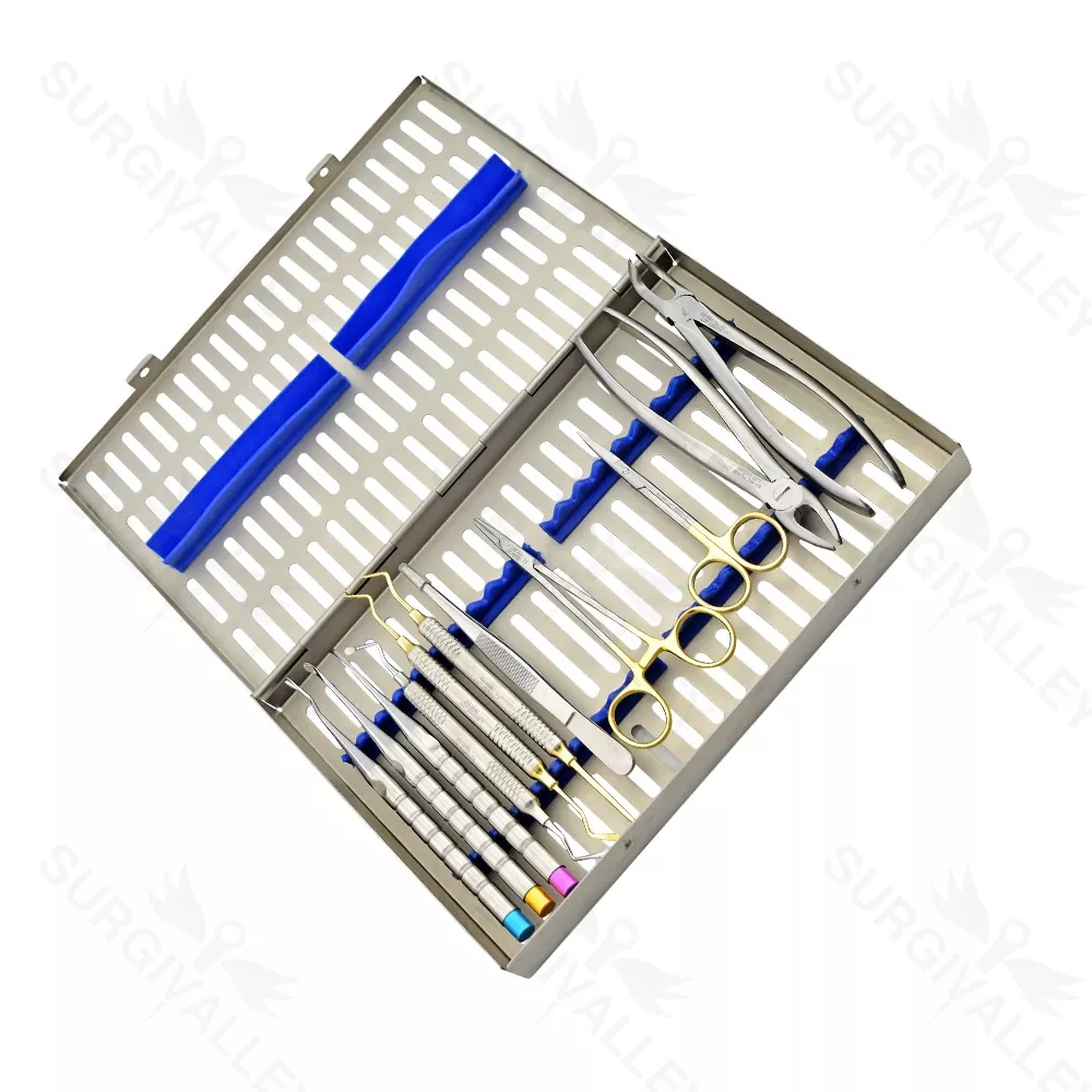Dental Atraumatic Extraction Kit Of 11 Pieces Instruments With Large Cassette