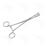 Duval Collin Intestinal Forceps Gripping Bulky Tissues Forceps Straight 195 mm