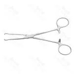 Locke Phalangeal Bone Holding Forceps