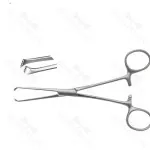 Pedifine Allis Tissue Forceps